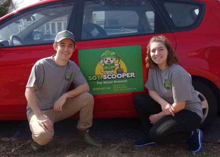 Professional pet waste removal service
