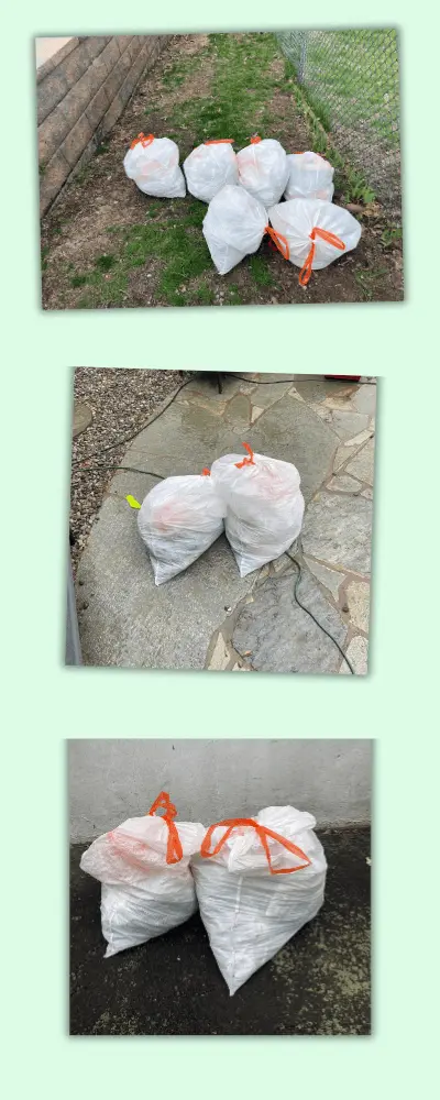 Trash bags full of collected pet waste from Sgt. Scooper service - image 2